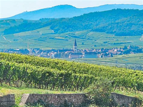 Alsace