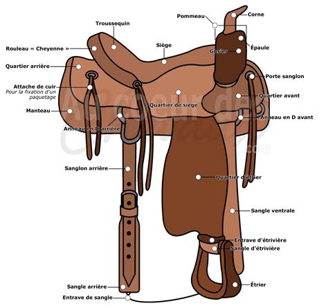 Anatomie d'une selle western