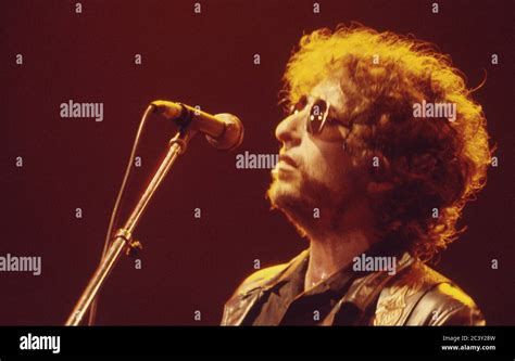 Bob Dylan Concert