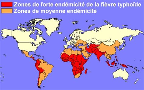 Carte de la prévalence de la fièvre typhoïde dans le monde