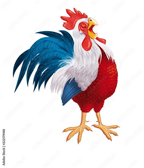 Coq Gaulois