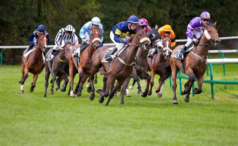 Course Hippique