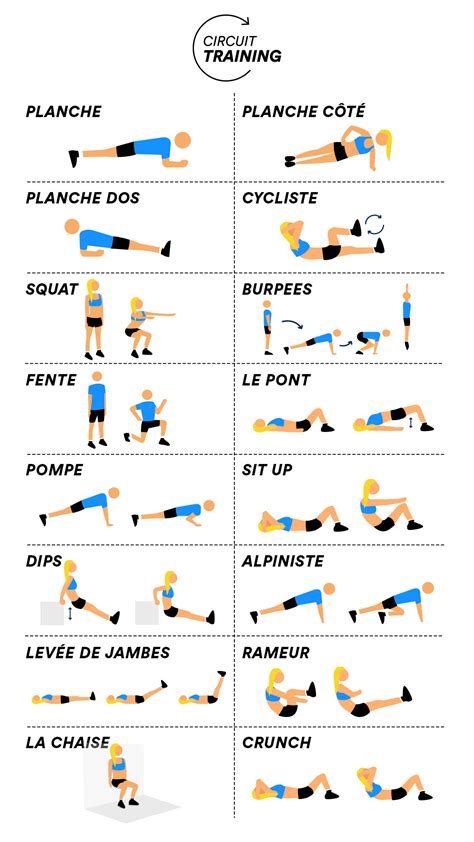 Exercices de renforcement musculaire