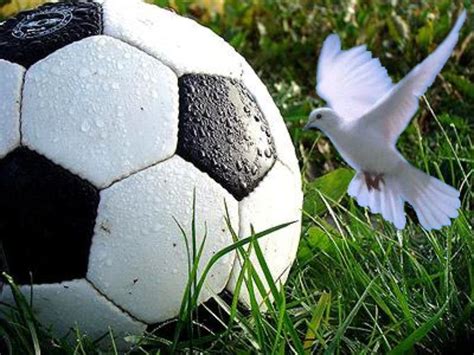 Fútbol por La Paz