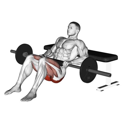 Hip Thrust