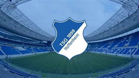 Joueurs du TSG Hoffenheim