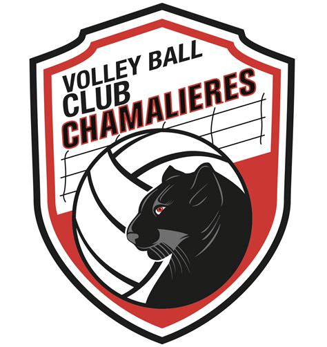 Logo Volley Chamalières