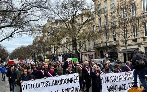 Manifestation des viticulteurs à Bordeaux
