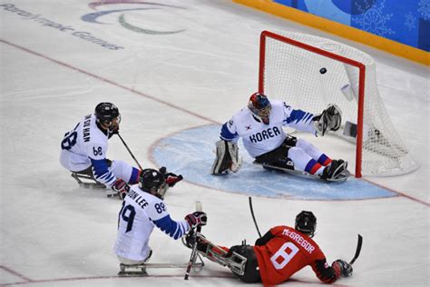 Para-hockey sur glace
