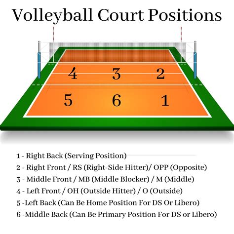 Positions au volleyball