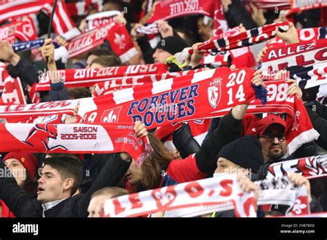 Supporters LOSC