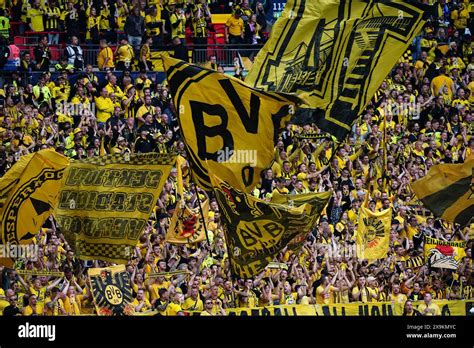 Supporters du Borussia Dortmund