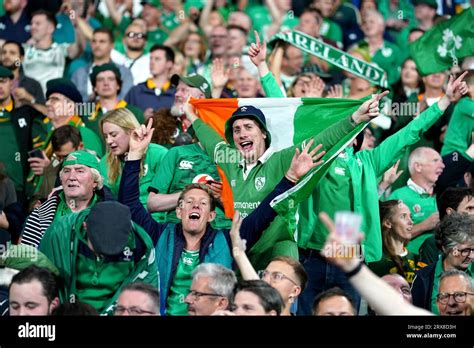 Supporters irlandais célébrant une victoire