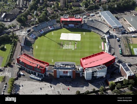 Terrain de cricket