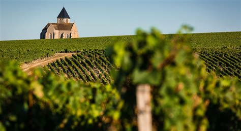 Vignoble de Chablis