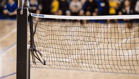 Volley-ball : joueurs au filet