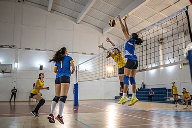 Volleyball